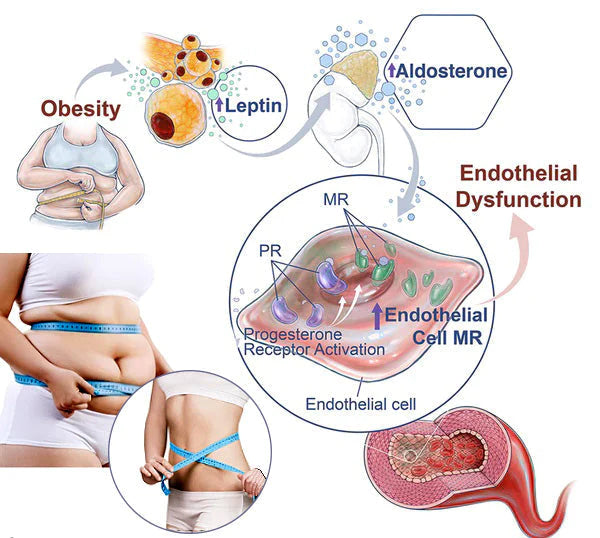 Lymphvity méregtelenítő és átalakító és erőteljes emelő melltartó